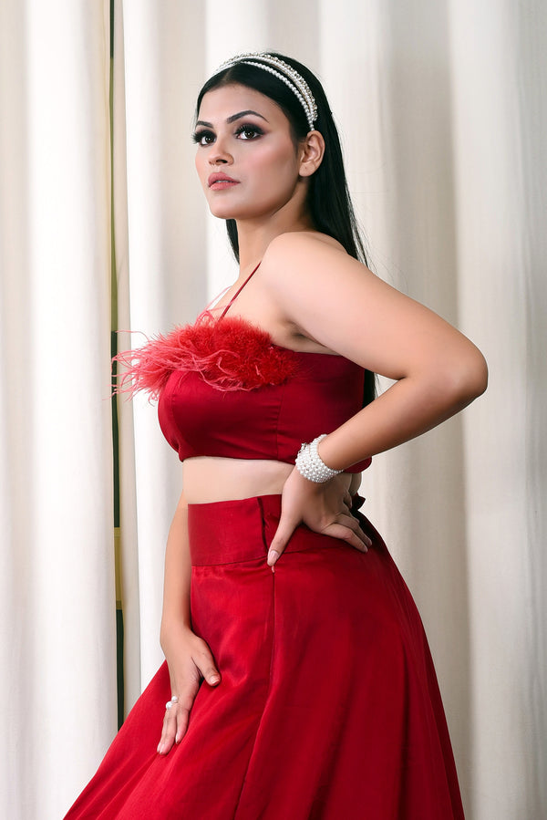 Deep Red Satin Bustier with Feather Details